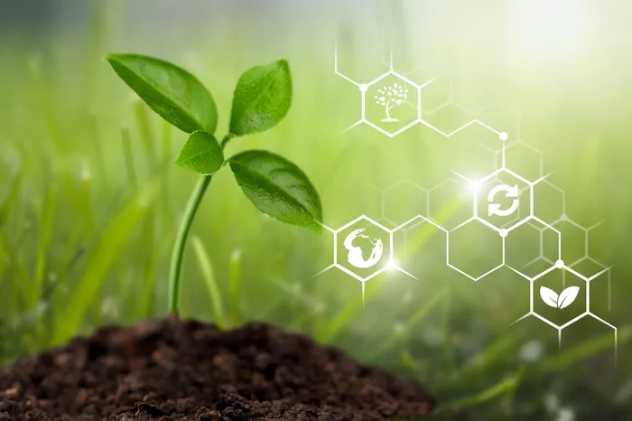 Green sprout growing from soil with environmental icons.
